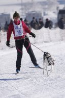 Lenk 2013
